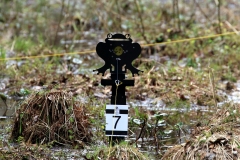 emv_22_1_058